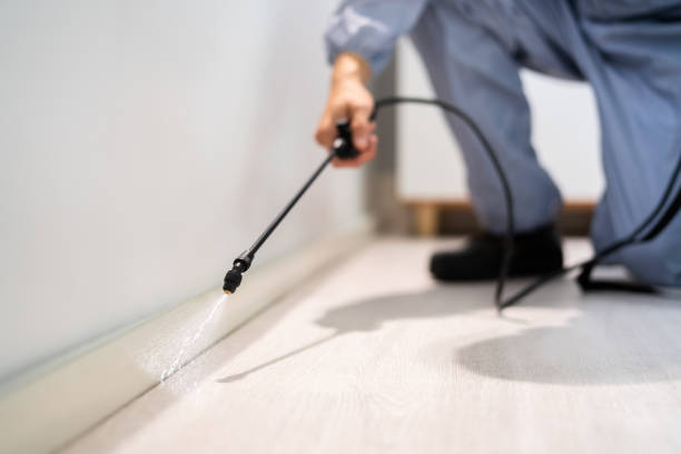 Bed Bug Pre-Treatment Preparation Assessment in Johnstown