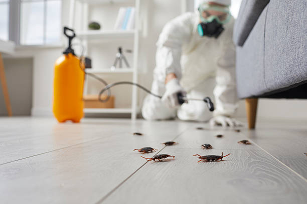 Post-Treatment Bed Bug Interceptor Monitoring in Johnstown