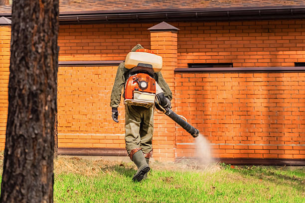 Bed Bug Clearance Verification and Documentation in Johnstown